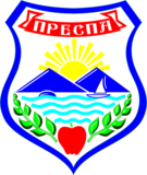 Општина Ресен